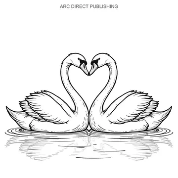 Two swans forming a heart with their necks on water with reflections