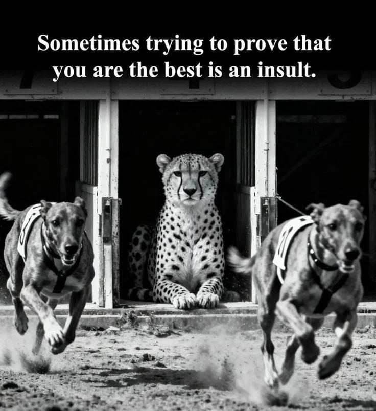 Never Prove Your Worth To Anyone