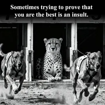 Never Prove Your Worth To Anyone
