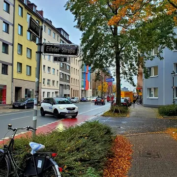Autumn street with fallen leaves bicycle parked beside buildings and cars under gray sky