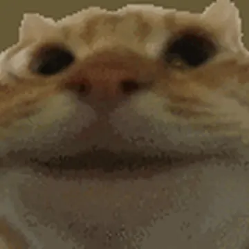 An orange tabby cat's face shifts gaze slightly in a close-up shot