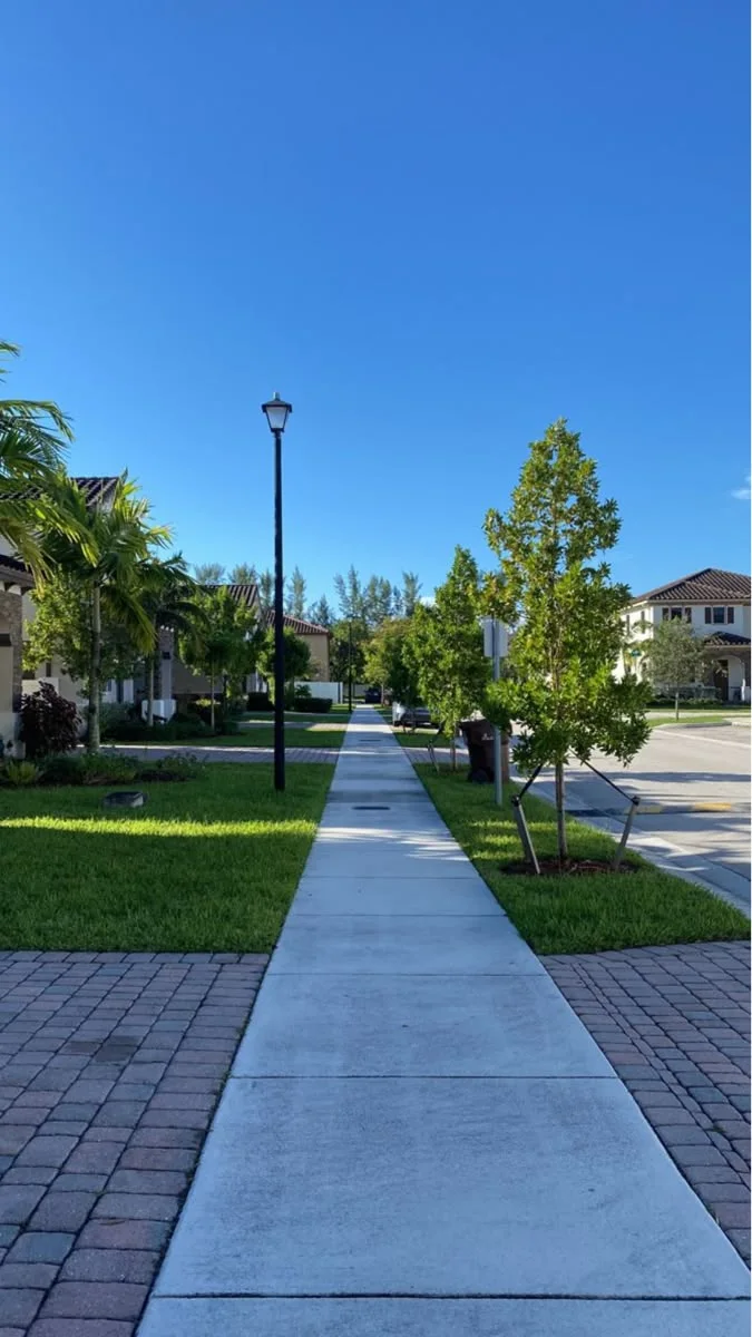 A straight sidewalk lined with grass palm trees and brick pavers leading to suburban houses under a clear blue sky