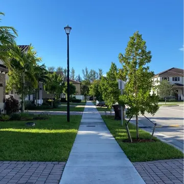 A straight sidewalk lined with grass palm trees and brick pavers leading to suburban houses under a clear blue sky