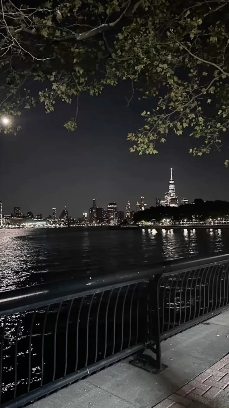 Night view of New York City skyline reflected in water framed by tree branches and railing