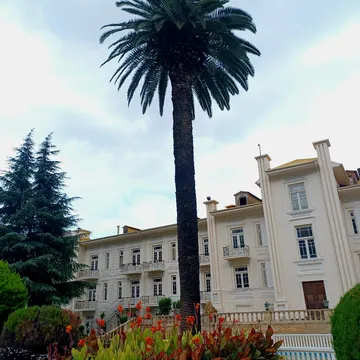 Tall palm tree in front of a white mansion with colorful flowers and a white fence