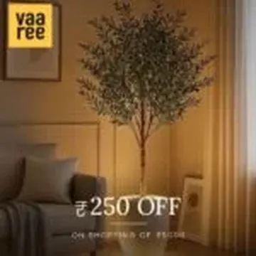 Tall leafy tree in a modern living room with sofa pillows and framed wall art under warm lighting