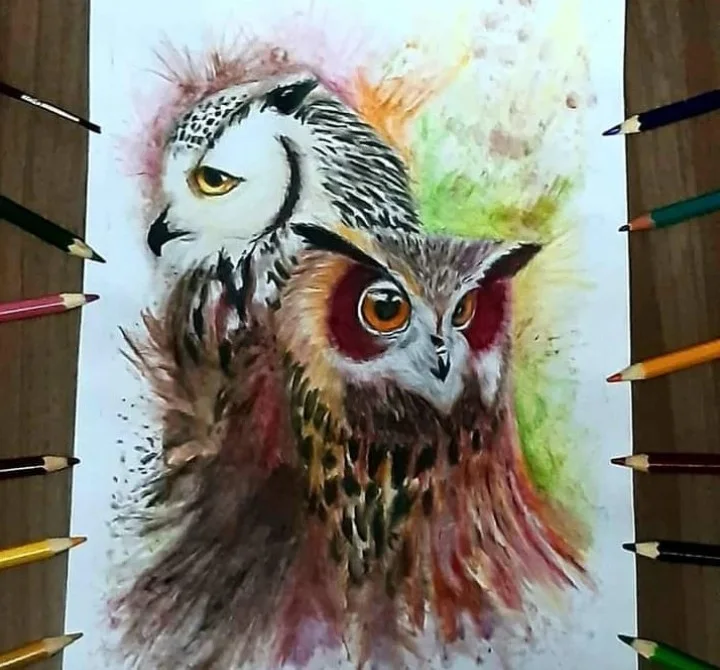 Two owls drawn with watercolor and colored pencils on a sketchbook page