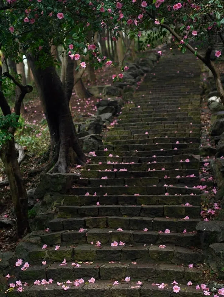 Stone staircase covered in pink camellia petals winding through a green forest