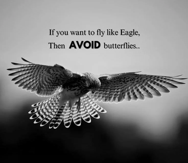 Eagle Mindset Quotes