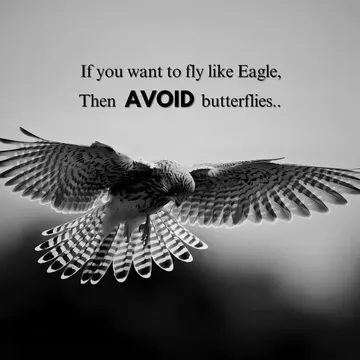 Eagle Mindset Quotes