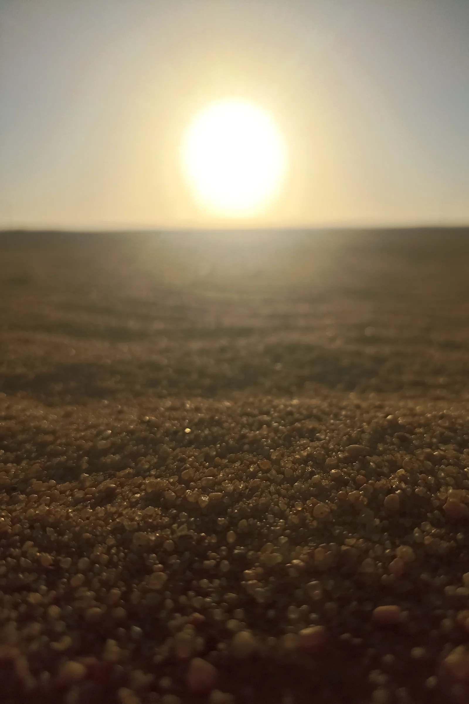 Sunset over desert with golden sand grains in focus