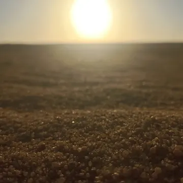 Sunset over desert with golden sand grains in focus