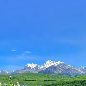 Snowcapped mountains rise behind rolling green hills with blue and yellow wildflowers in foreground